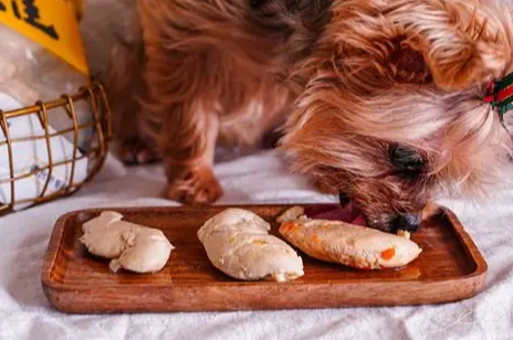 寵物中毒預防 寵物中毒預防