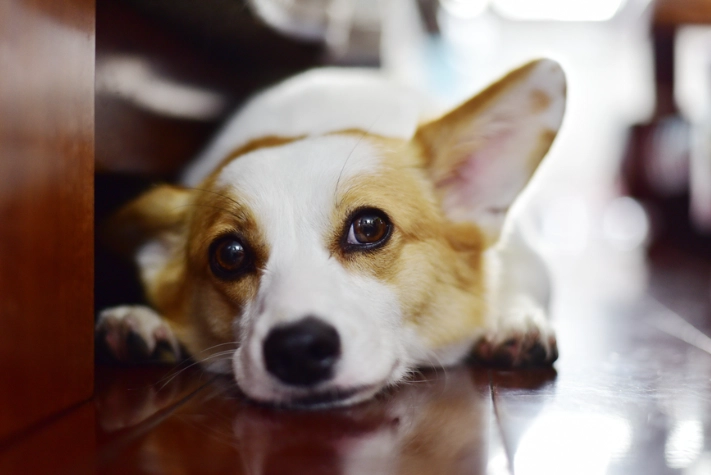 前庭神經炎 康復時間