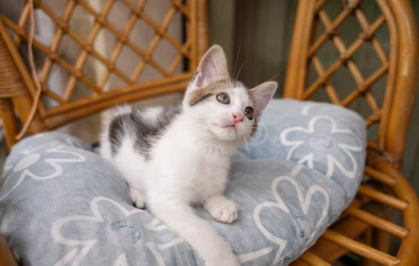 濕疹自愈 濕疹自愈