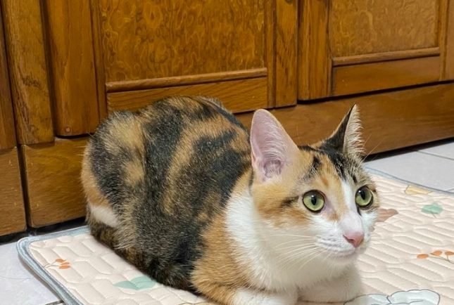 濕疹自愈 濕疹自愈