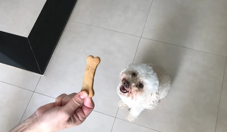 狗狗安全咬膠 狗狗安全咬膠