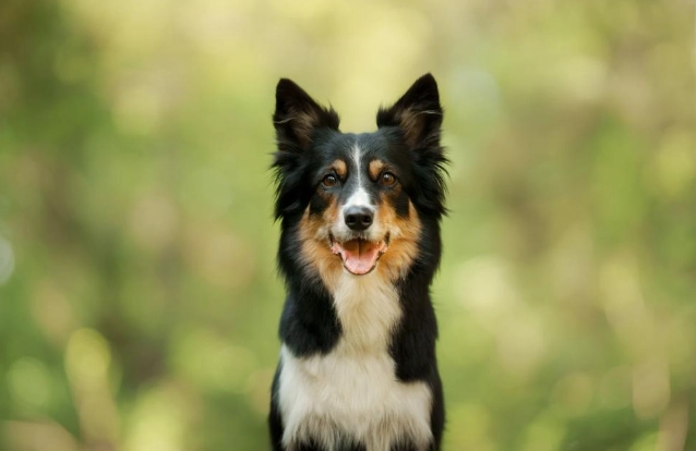 內耳炎居家護理 內耳炎居家護理