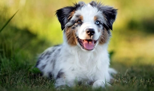 內耳炎居家護理 內耳炎居家護理