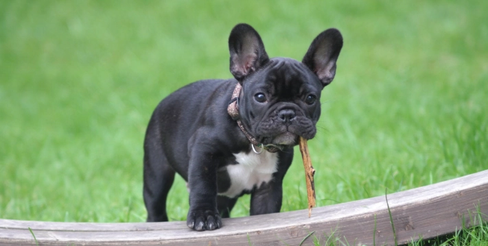 心臟病咳嗽舒緩