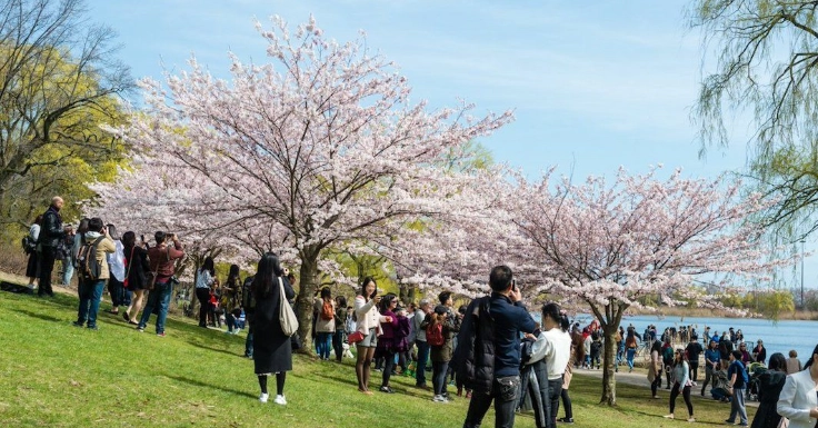 上野公園 一日遊