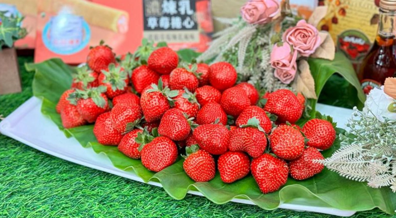 大湖旅遊 大湖旅遊