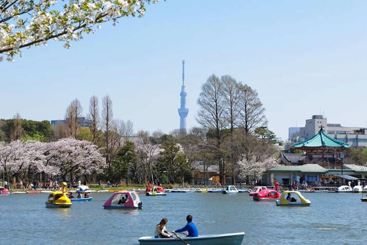上野公園 一日遊