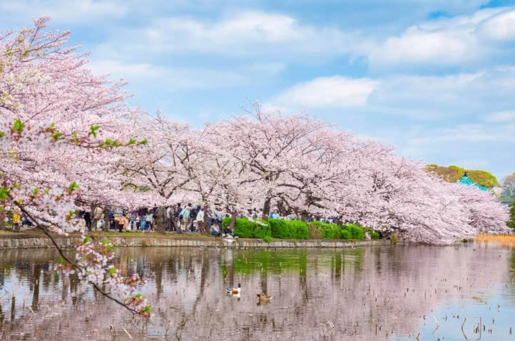 東京上野公園怎麼去 東京上野公園怎麼去
