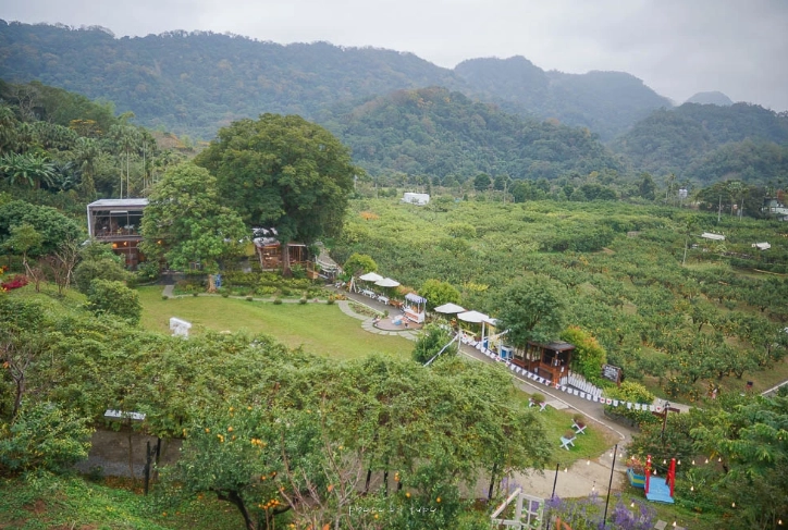 橙香森林 門票 價格 橙香森林 門票 價格
