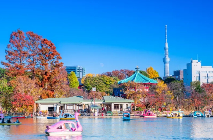 上野公園交通方式 上野公園交通方式