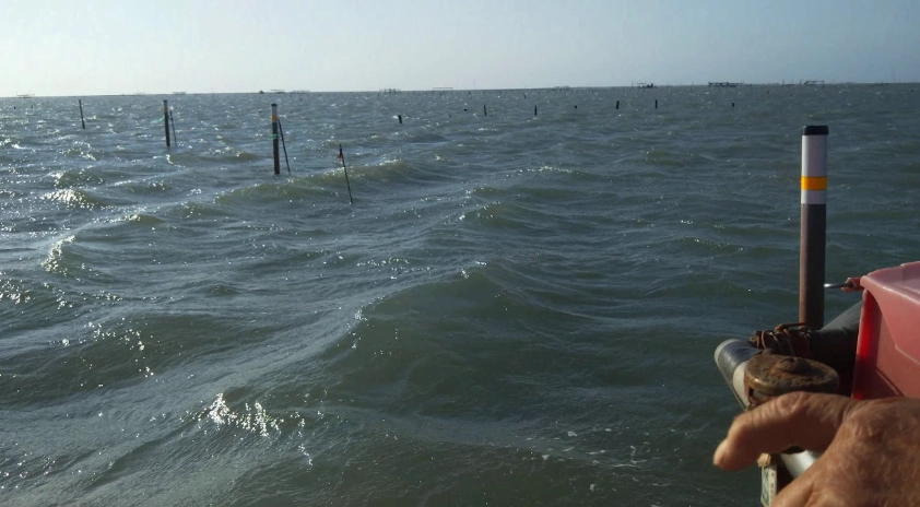 王功觀光鐵牛車