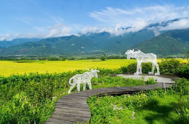 花東縱谷旅遊