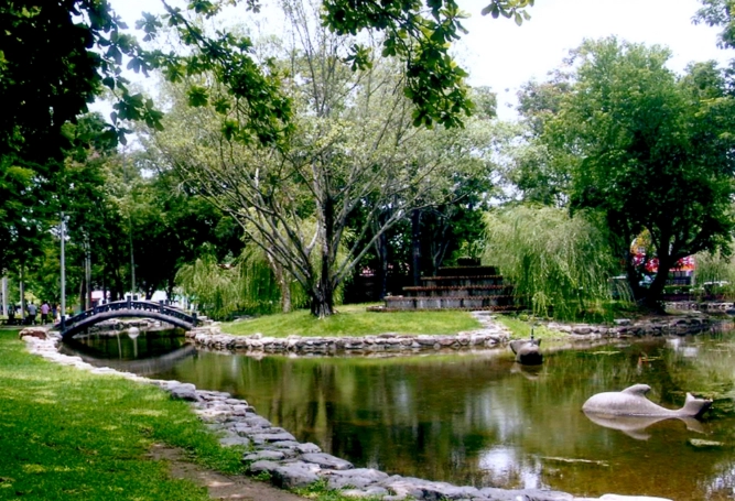 嘉義公園交通 嘉義公園交通