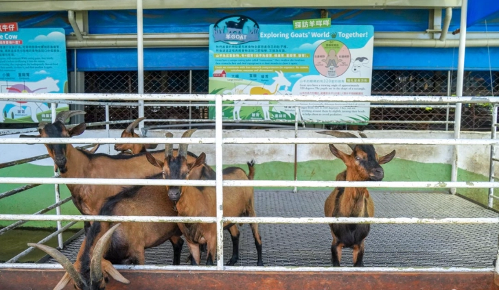 橋頭農場門票 橋頭農場門票