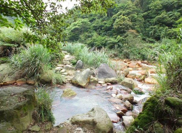 八煙野溪溫泉路線