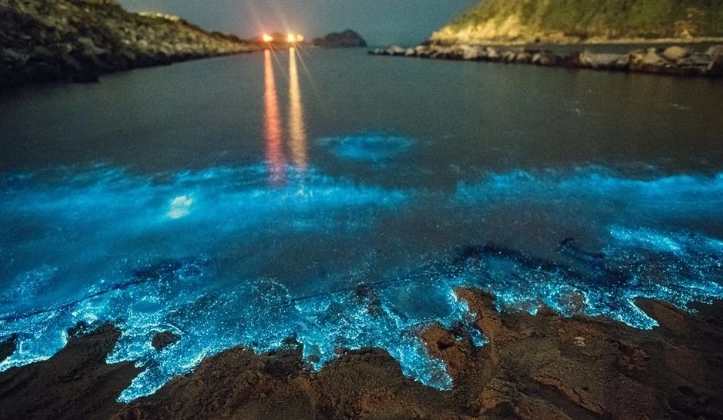 馬祖藍眼淚館 交通