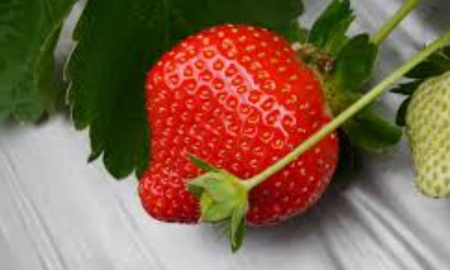 大湖景點推薦 大湖景點推薦