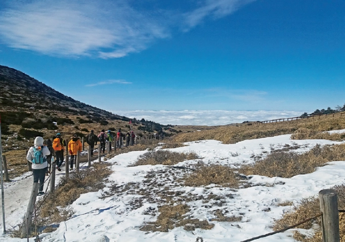 靈室路線難度 靈室路線難度