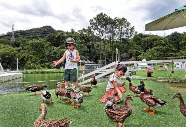 橋頭農場門票 橋頭農場門票