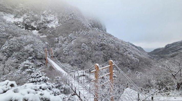 濟州島冬季旅遊 濟州島冬季旅遊