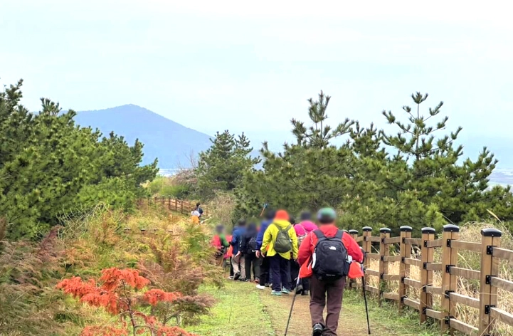 靈室路線交通 靈室路線交通