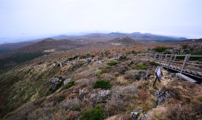 冰爪選購指南 冰爪選購指南