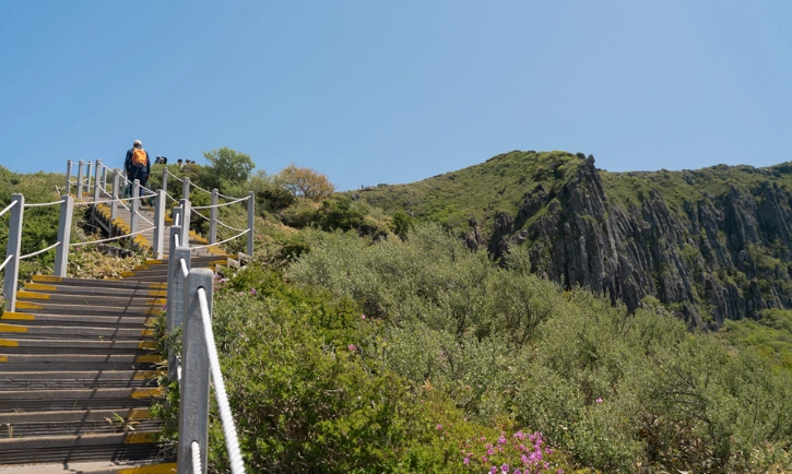 靈室路線交通 靈室路線交通