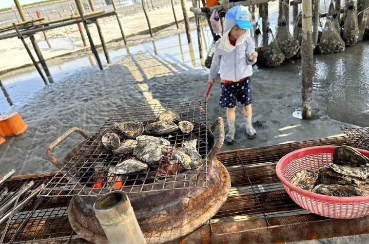 王功潮間帶 王功潮間帶