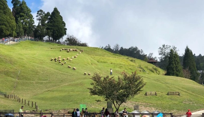 清境農場行程規劃