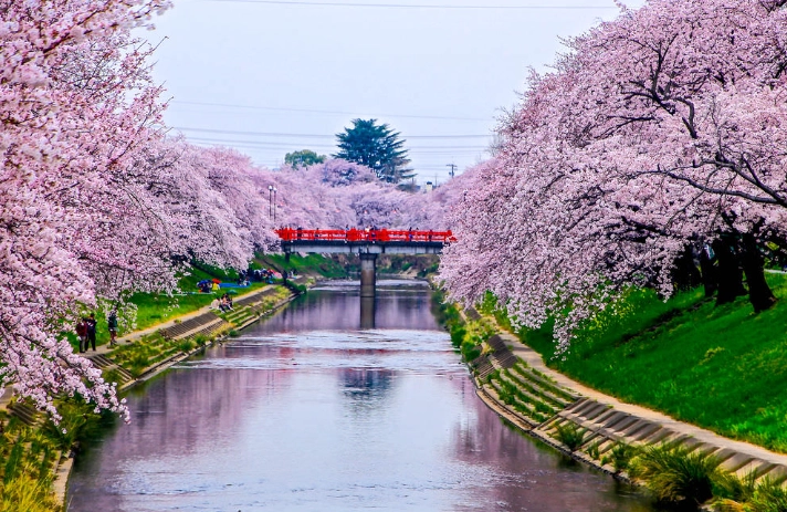 名古屋旅遊攻略