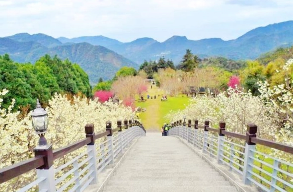 嘉義自由行交通