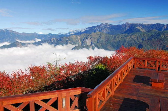 阿里山旅遊攻略