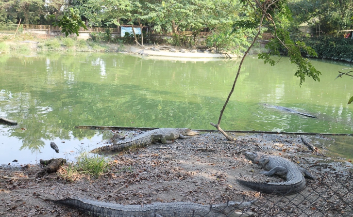 台灣製廚房工具