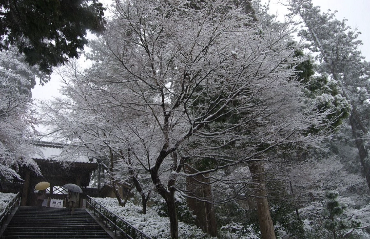 鎌倉冬季旅遊 鎌倉冬季旅遊