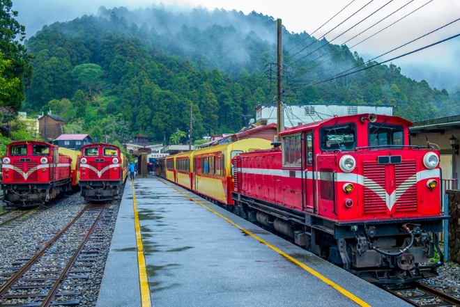 阿里山交通比較