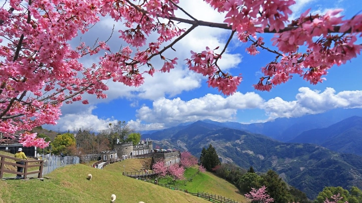 清境農場 遊玩時間