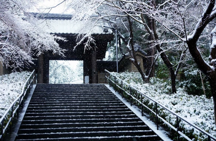 鎌倉冬季旅遊 鎌倉冬季旅遊