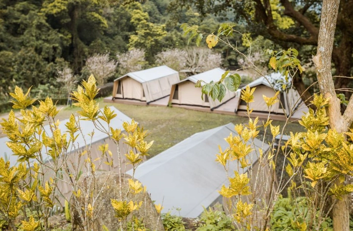 豪華露營 北部 豪華露營 北部