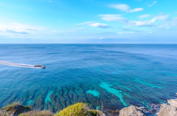 小琉球賞花 小琉球賞花