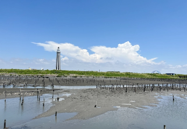 布袋蚵田體驗