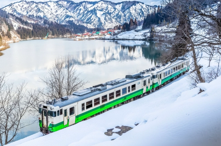 大志集落 公車 大志集落 公車