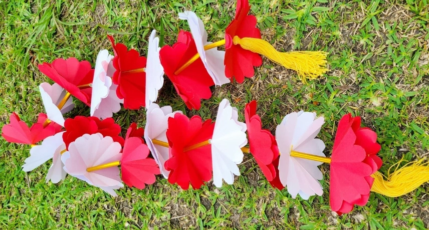 小琉球賞花 小琉球賞花