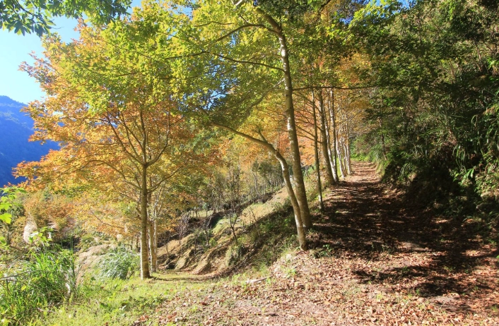 比該溪生態露營區 預訂