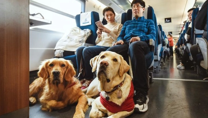 台灣鐵路寵物規定