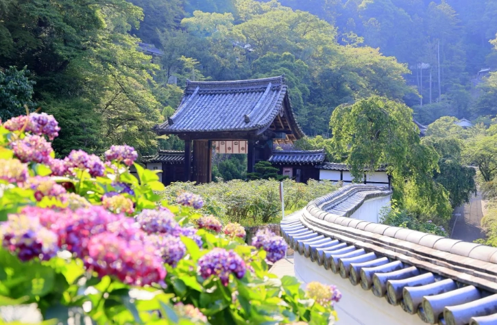 鎌倉幕府 鎌倉幕府