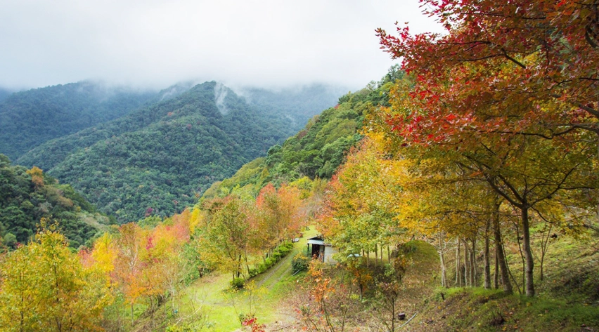 比該溪生態露營區 預訂