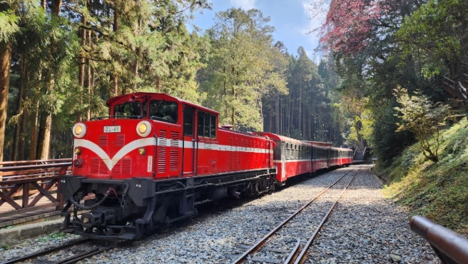 阿里山火車旅遊