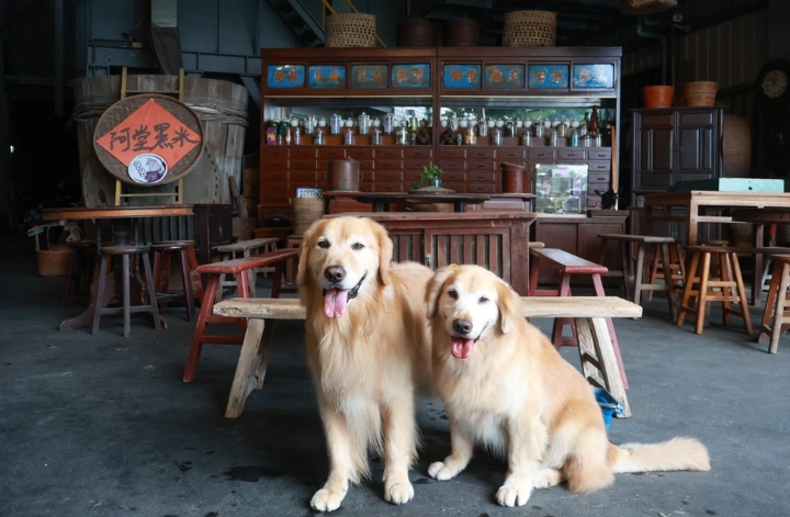 彰化兩天一夜行程