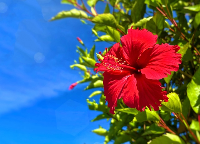 小琉球景點 小琉球景點
