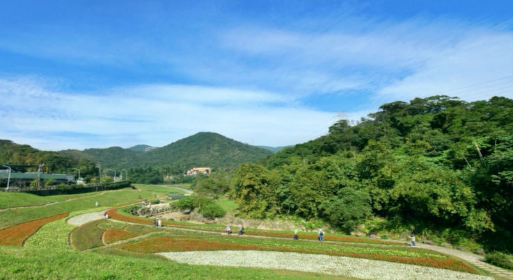 桃園免費景點 桃園免費景點